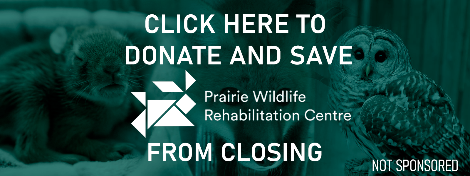 Donate